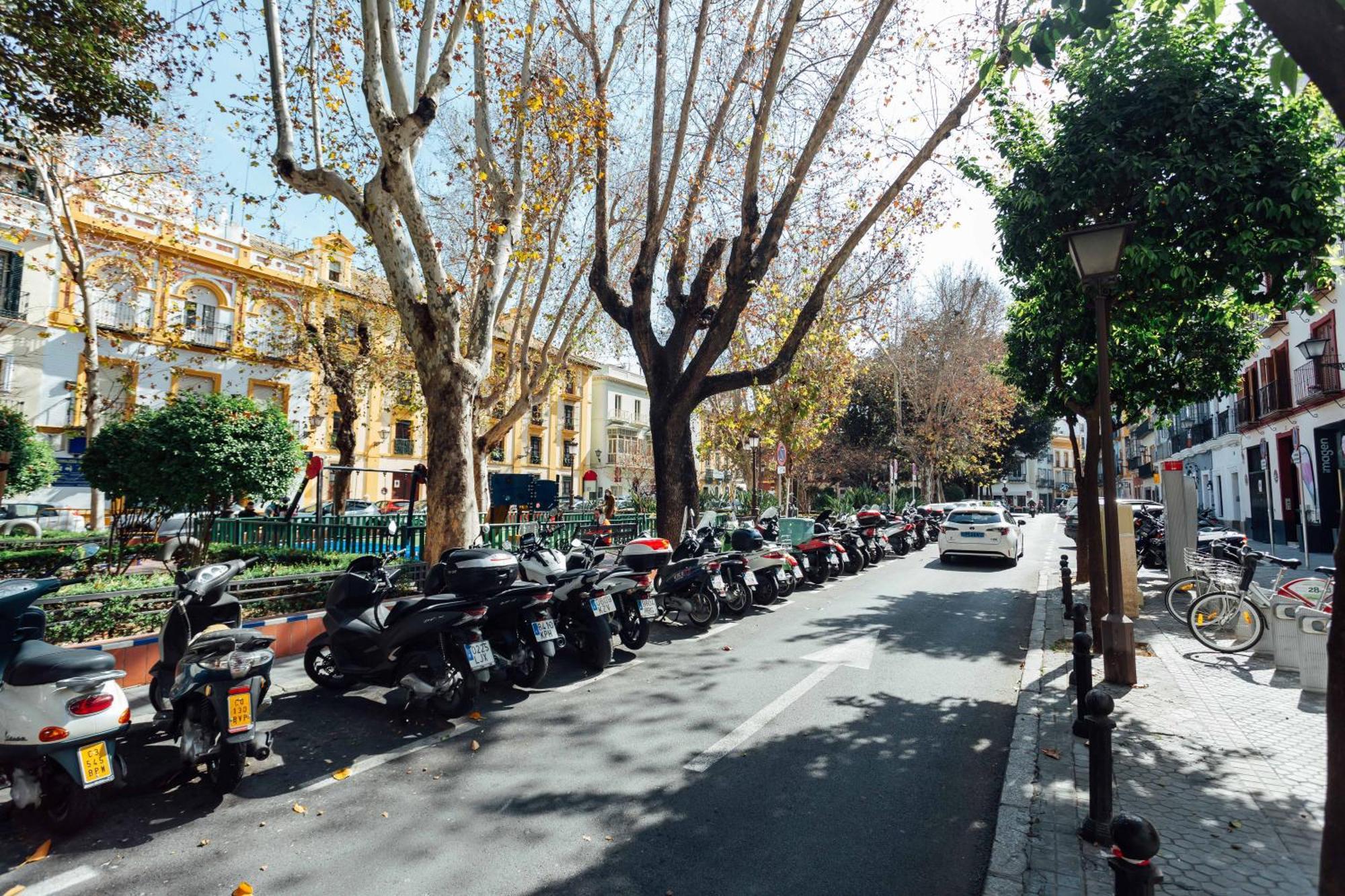 Luxury And Cozy- 1Bd 1Bth- Las Setas Seville Exterior photo